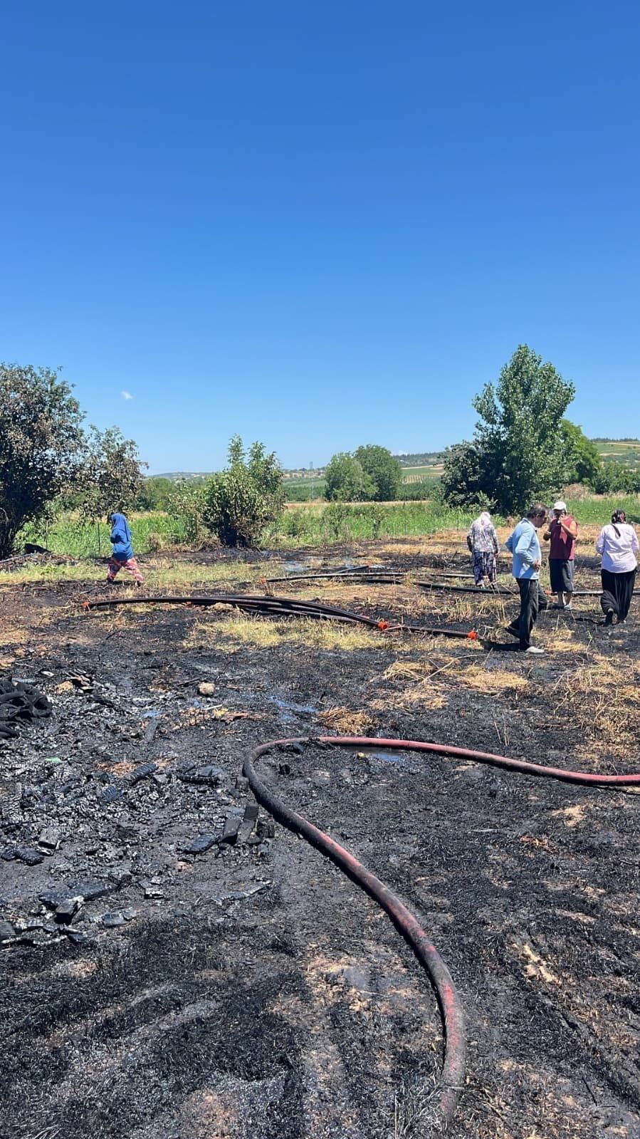 BURSA’DA 20 DÖNÜM KÜLE DÖNDÜ!