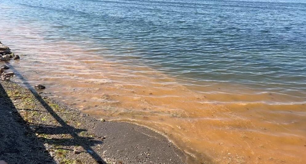 MUDANYA SAHİLİNDE TURUNCU ALARM!