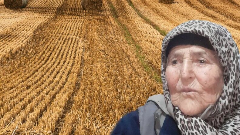 TARLADA UYUYAN KADININ FECİ SONU!