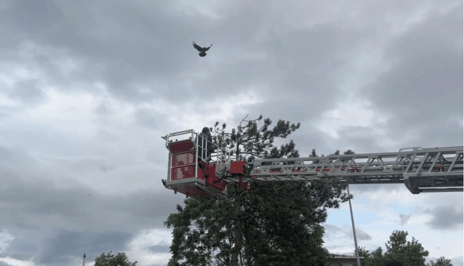 KURTARMA OPERASYONUNDA ETRAFI KUŞATTILAR!