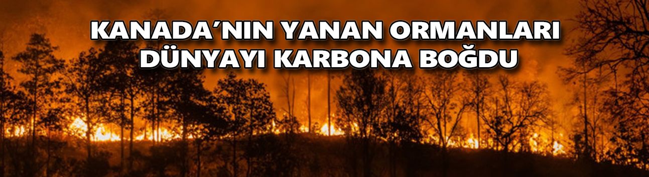 Kanada’nın yanan ormanları dünyayı karbona boğdu